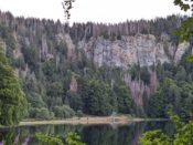 Forêt Noire - le Feldsee