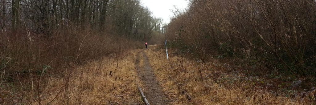 [CR] Trail du Cailloux - 19km de plaisir