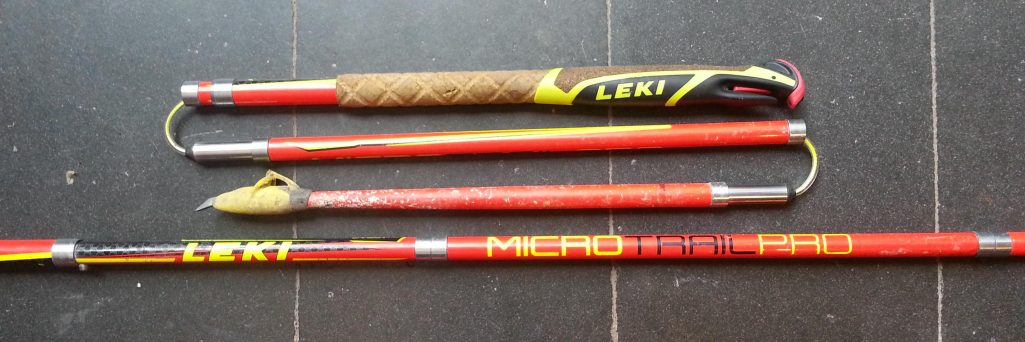 [Test] bâtons Leki Micro Trail Pro