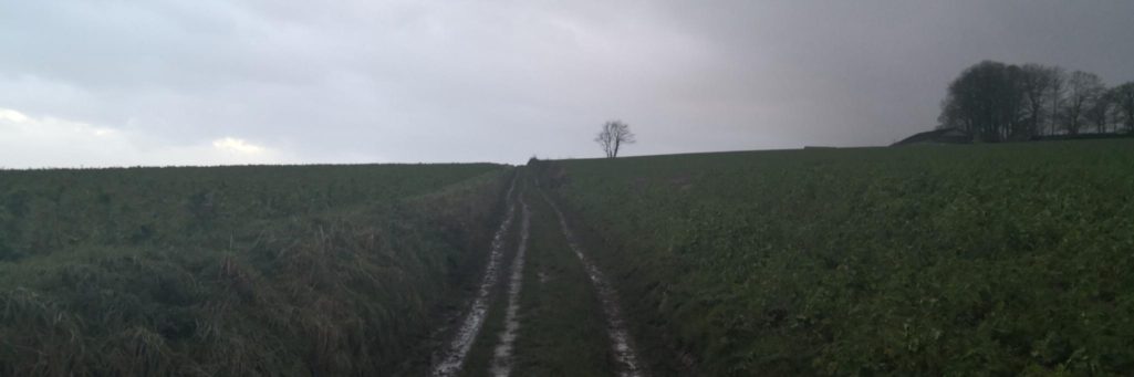 [Petit CR] Tournai Roubaix en solo
